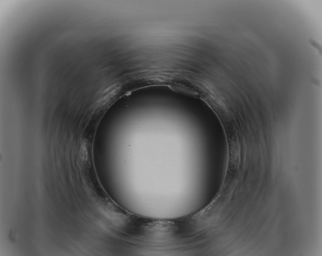 X0000096490128200801311626