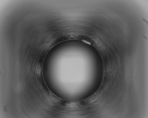 X0000096490129200801311626