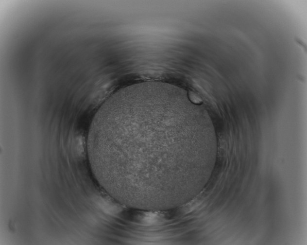 X0000096490130200801311626