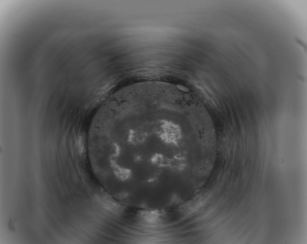 X0000096490131200801311626