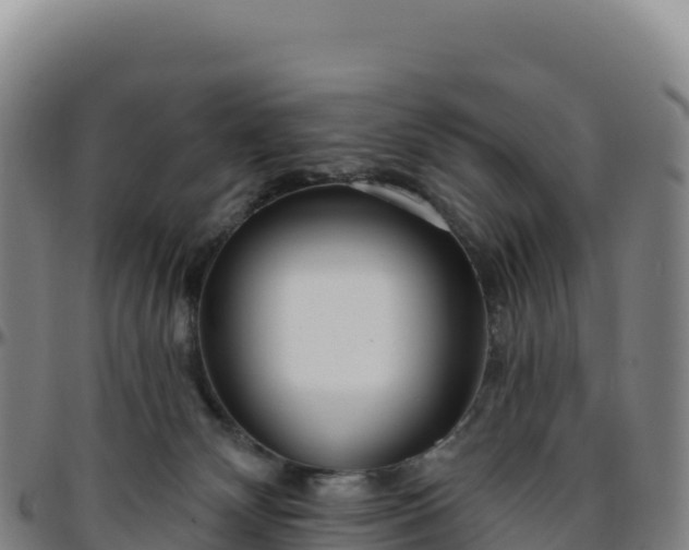 X0000096490132200801311626