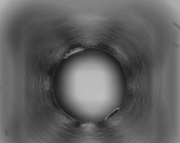 X0000096490133200801311626