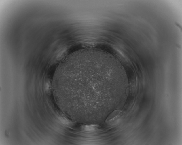 X0000096490134200801311626