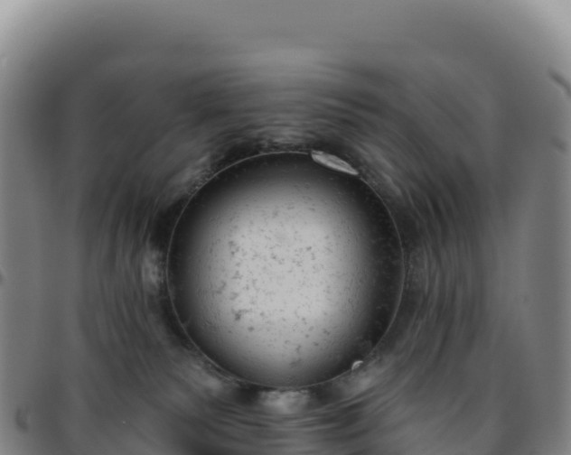 X0000096490135200801311626