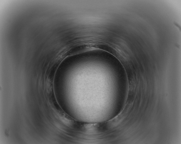 X0000096490136200801311626