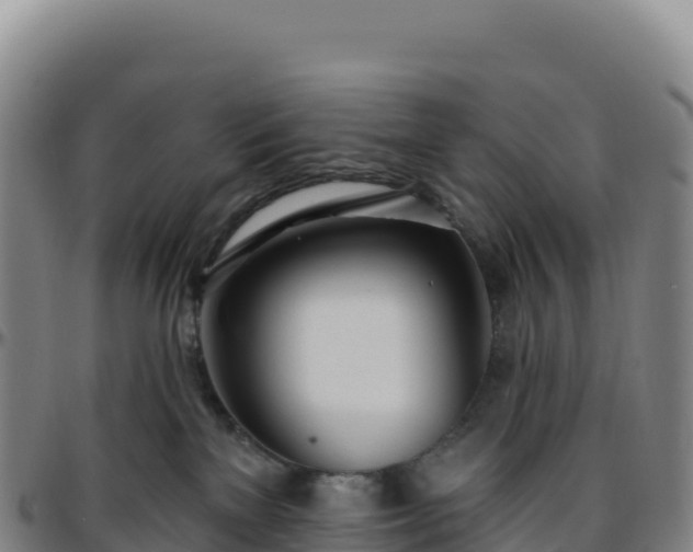 X0000096490137200801311626