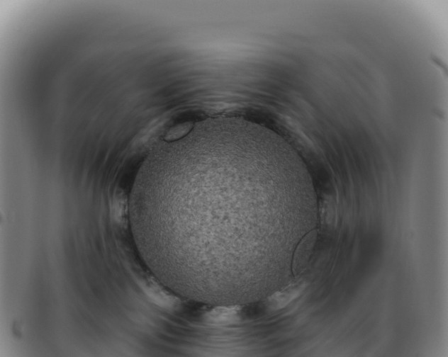 X0000096490138200801311626