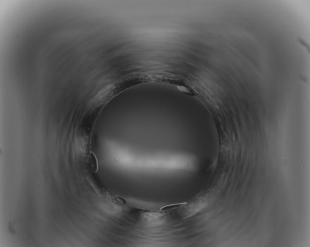 X0000096490139200801311626