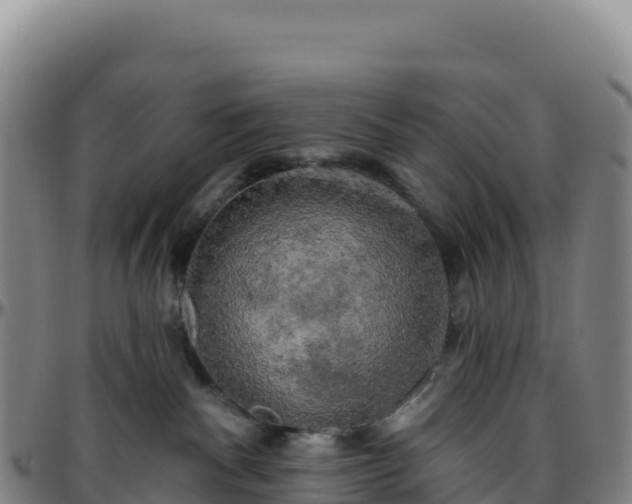 X0000096490140200801311626