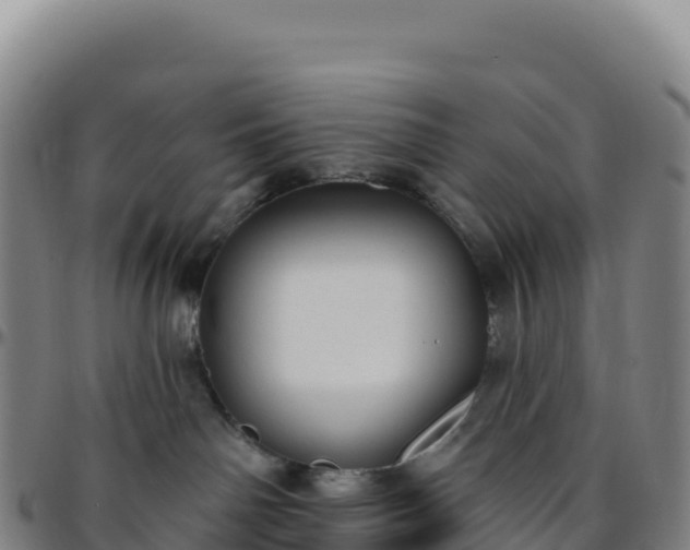 X0000096490142200801311626