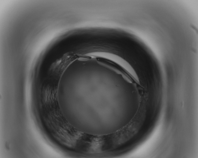 X0000096490143200801311626