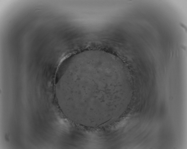 X0000096490144200801311626