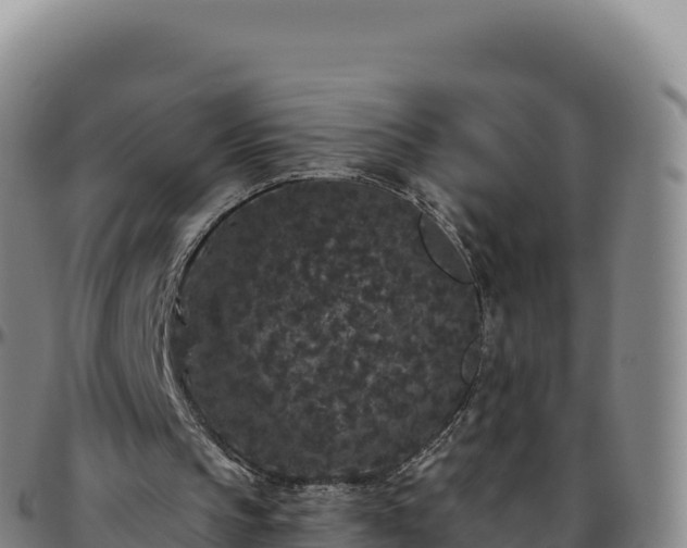 X0000096490145200801311625