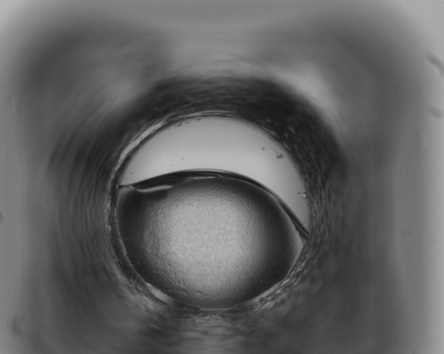 X0000096490146200801311625