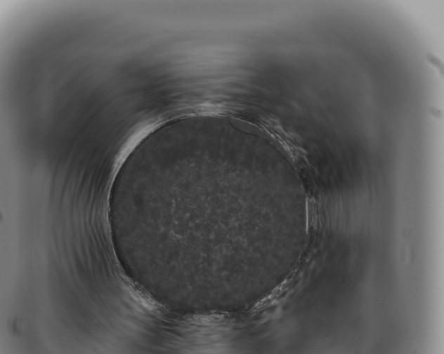 X0000096490147200801311626