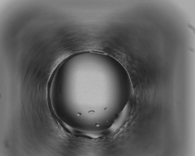 X0000096490148200801311626