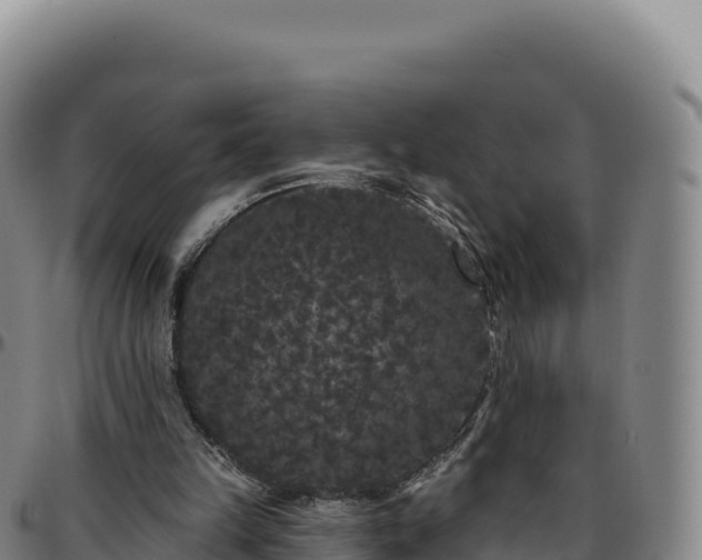 X0000096490149200801311626