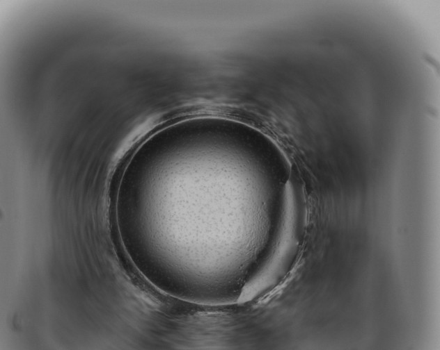 X0000096490150200801311626