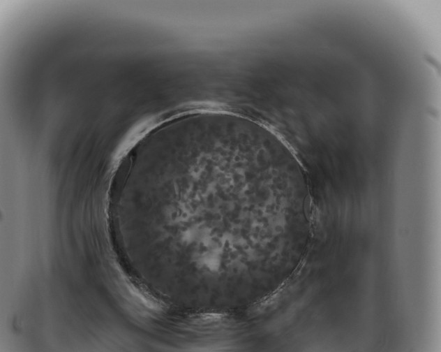 X0000096490151200801311626