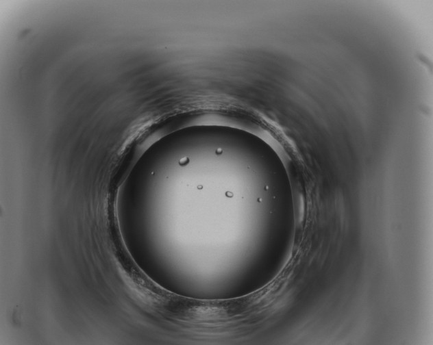 X0000096490154200801311626