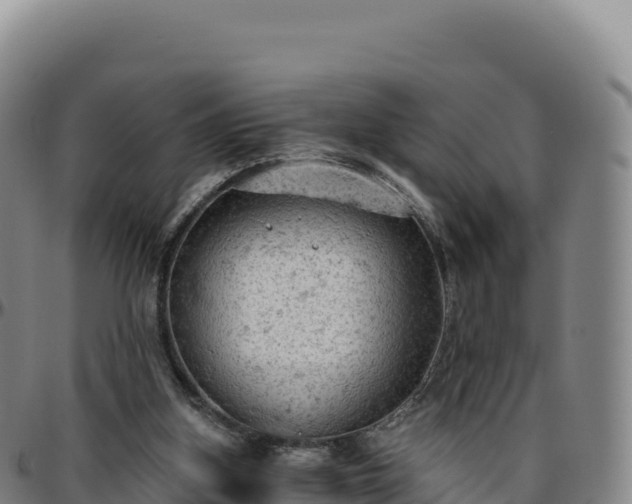 X0000096490155200801311626