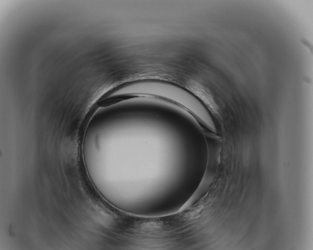 X0000096490156200801311626