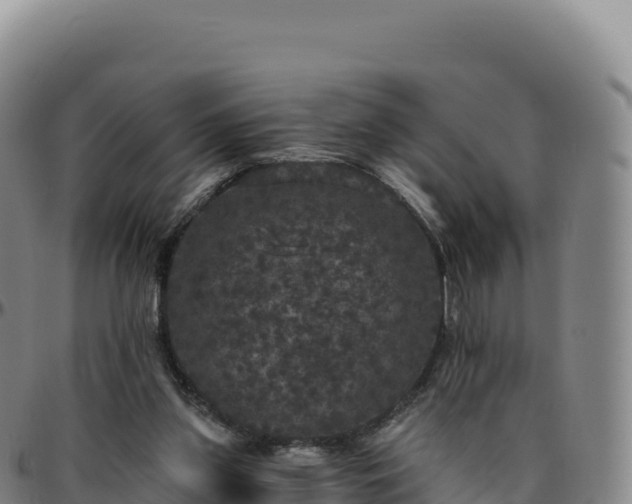 X0000096490157200801311626