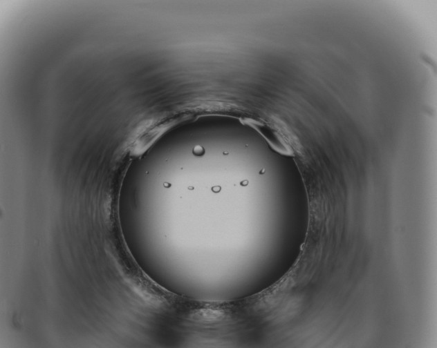 X0000096490159200801311626