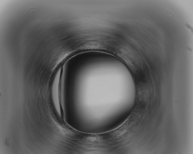 X0000096490160200801311626