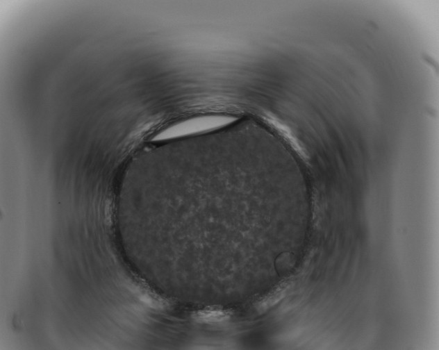 X0000096490161200801311626