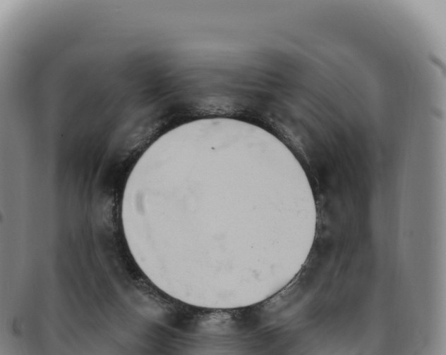 X0000096490162200801311626