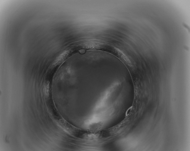 X0000096490163200801311626