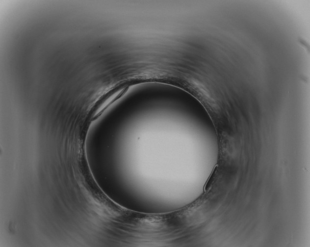 X0000096490164200801311626