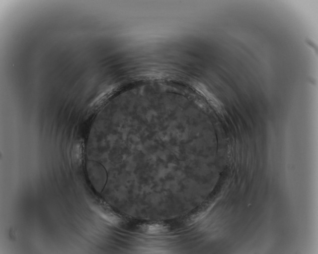 X0000096490165200801311626