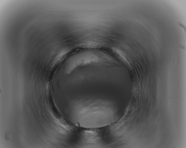 X0000096490167200801311626