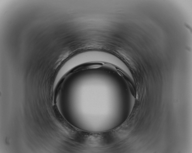 X0000096490168200801311626