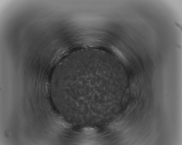 X0000096490169200801311626