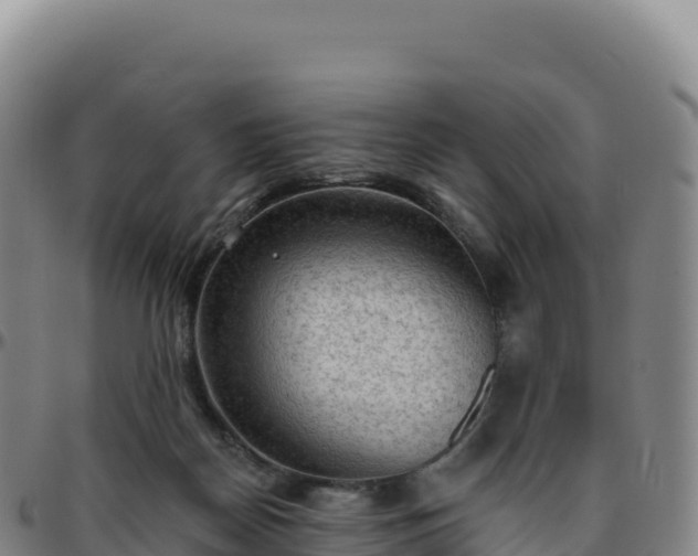 X0000096490170200801311626