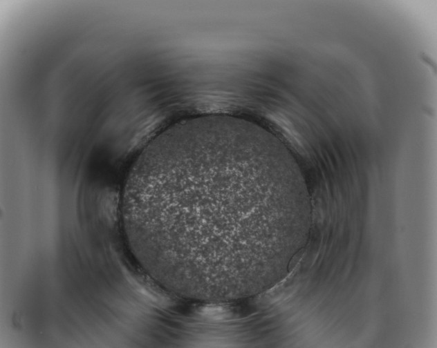 X0000096490171200801311626