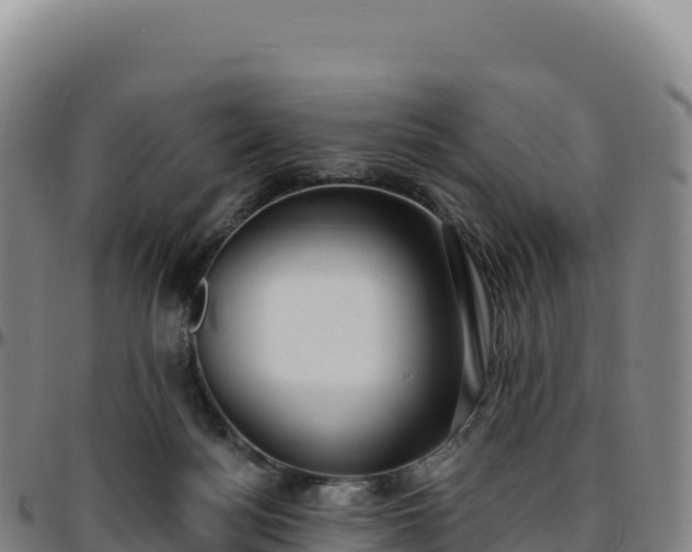 X0000096490172200801311626