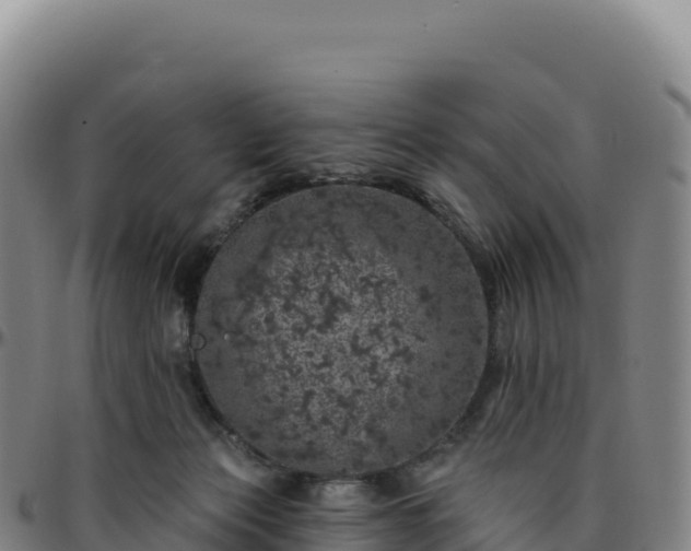 X0000096490173200801311626