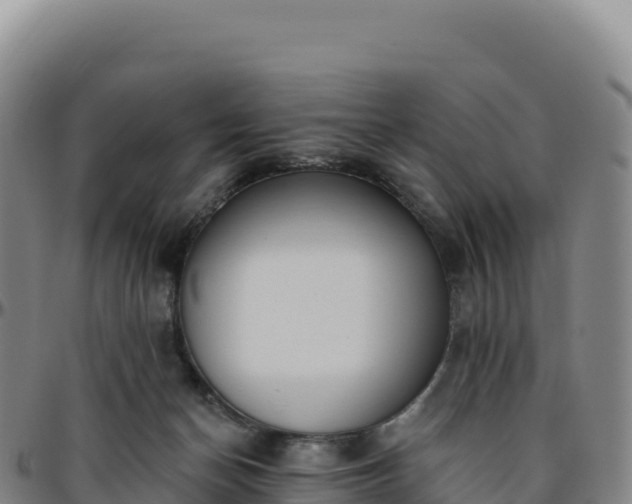 X0000096490174200801311626