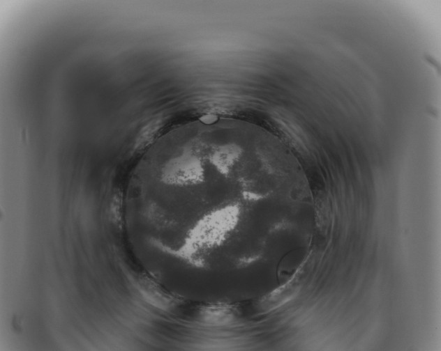 X0000096490175200801311626