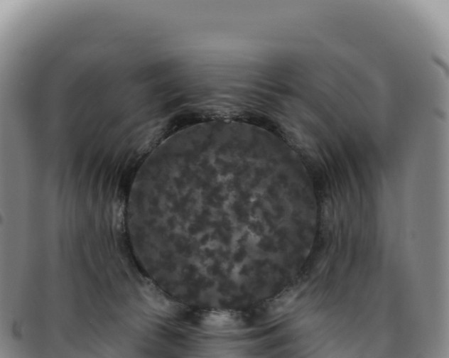 X0000096490177200801311626