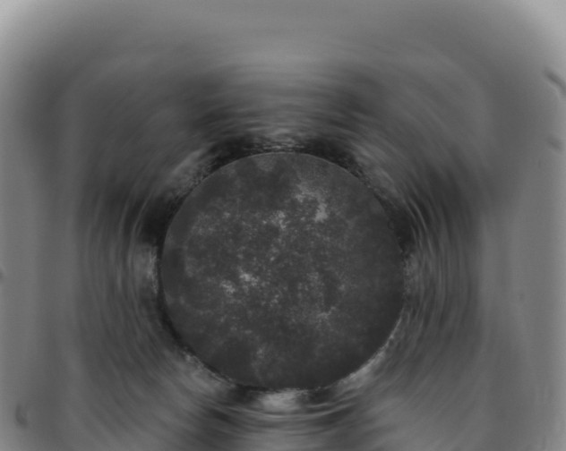 X0000096490178200801311626