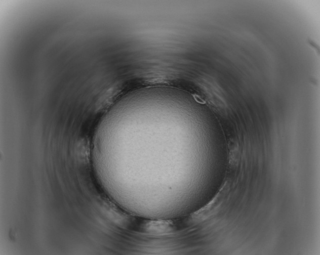 X0000096490179200801311626