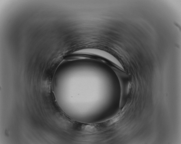 X0000096490180200801311626