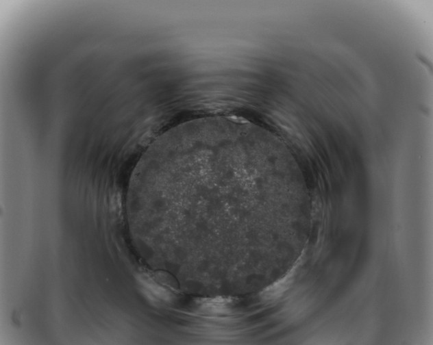 X0000096490182200801311626