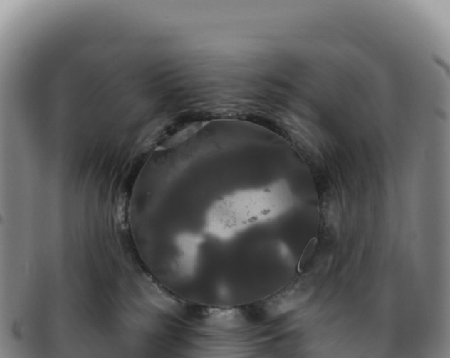 X0000096490185200801311626