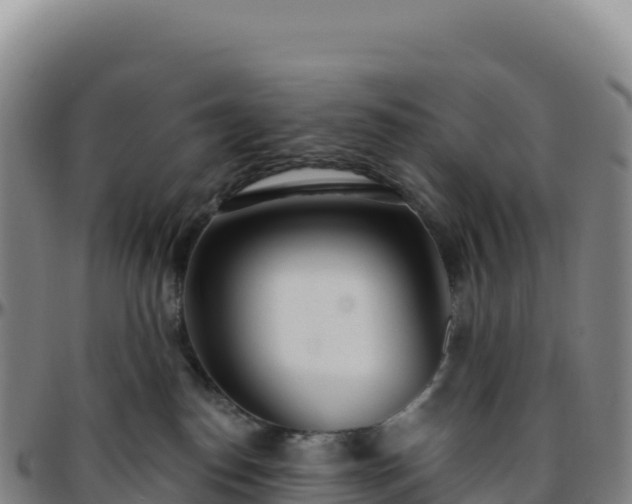 X0000096490186200801311626